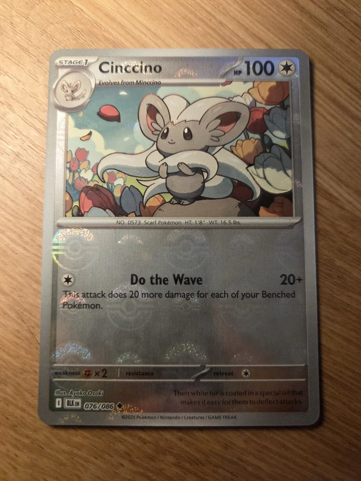 Cinccino