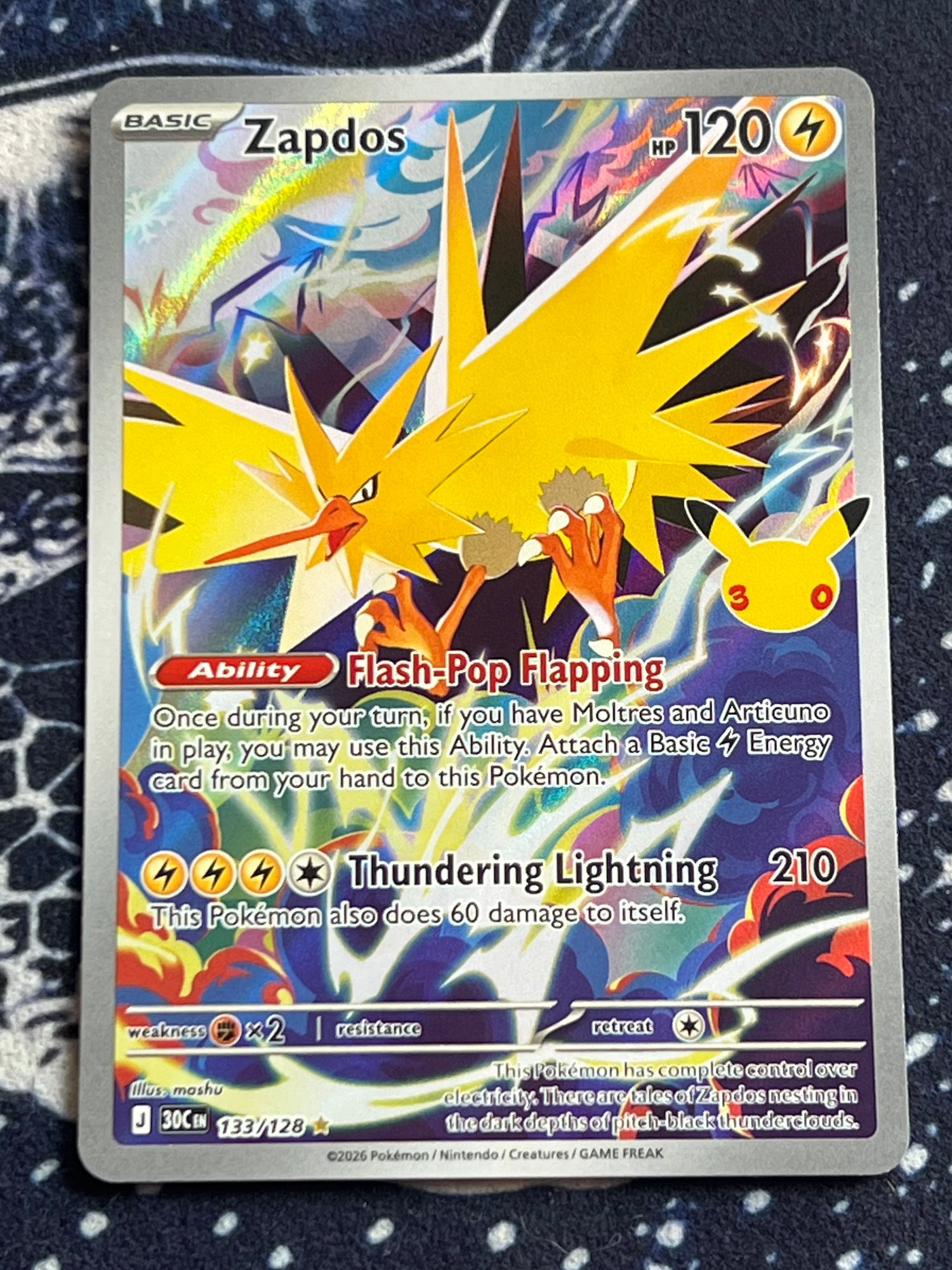 Zapdos photo 2