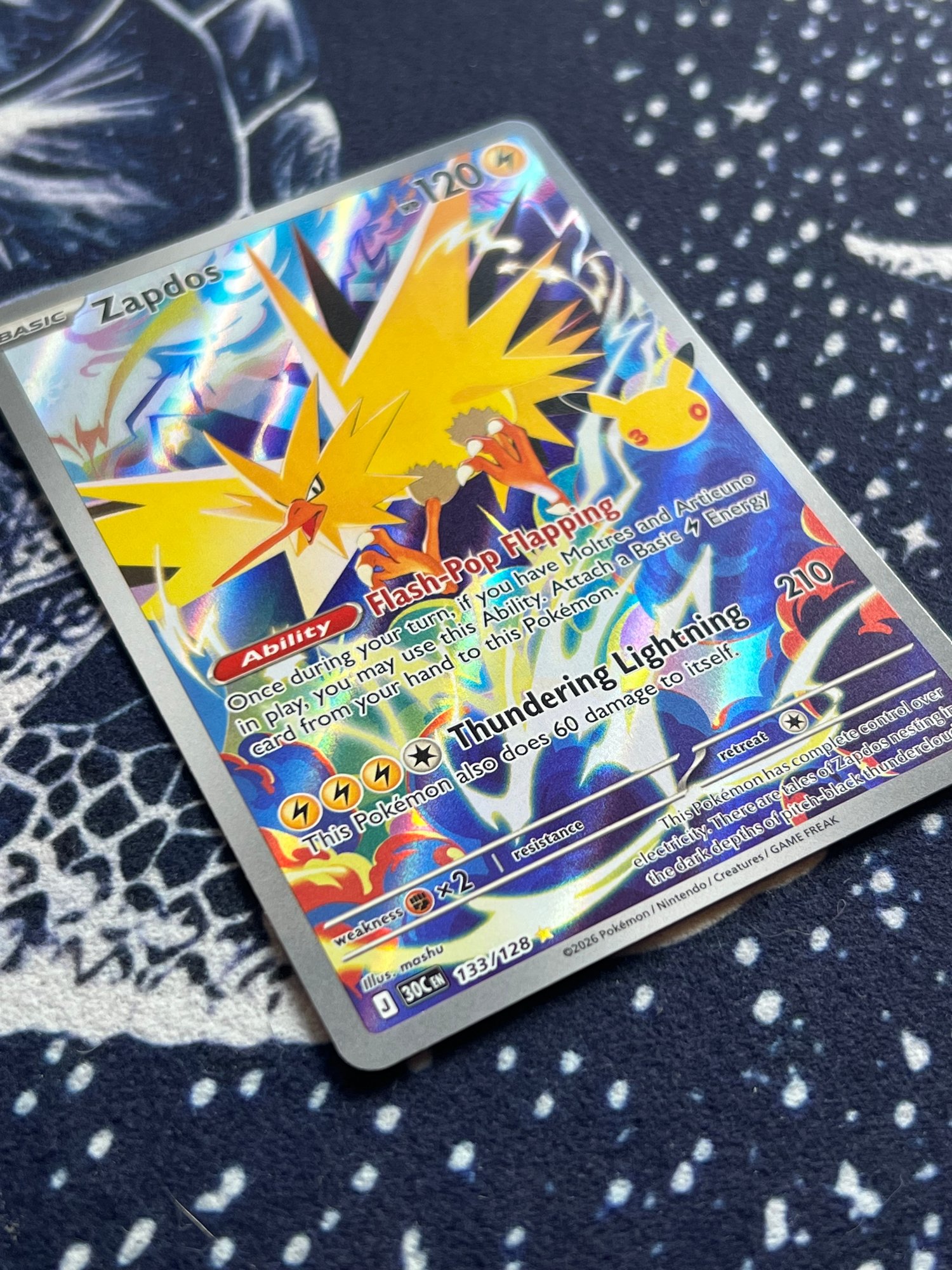 Zapdos photo 3